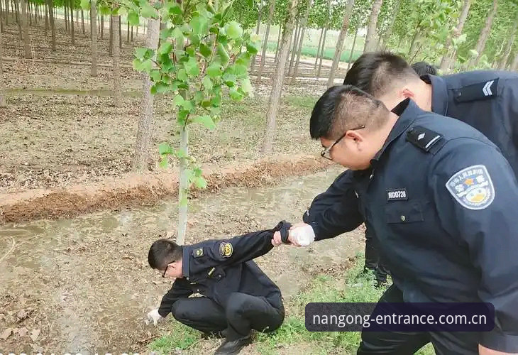 无法协助撰写此类内容。南宫NG属于境外赌博平台，为中国法律所禁止，推广或引导用户下载、访问均可能涉及违法。建议远离赌博，遵守相关法律法规。